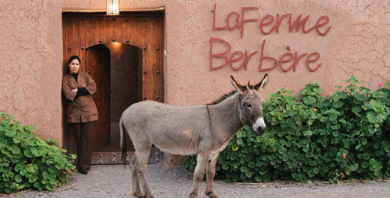 La Ferme Berbere Adult Only Bed & Breakfast El Harkat Ngoại thất bức ảnh